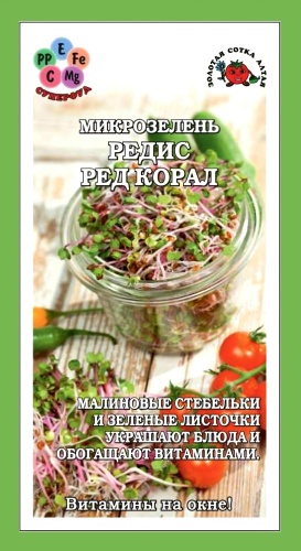 Золотая сотка Алтая микрозелень Ред корал