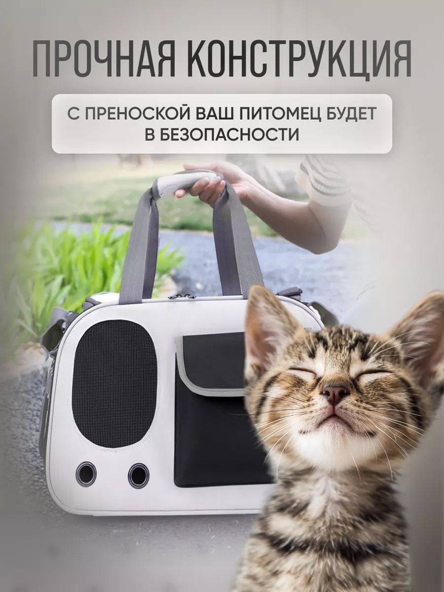 Animals черный, серый