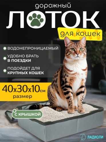 Лоток с бортиком серый