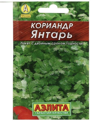 Аэлита кориандр Янтарь