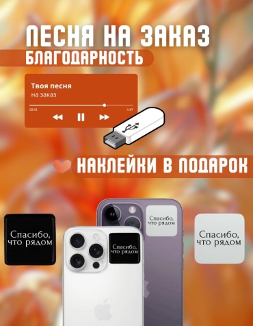 Именной подарок Флешка Песня благодарность Manziluna
