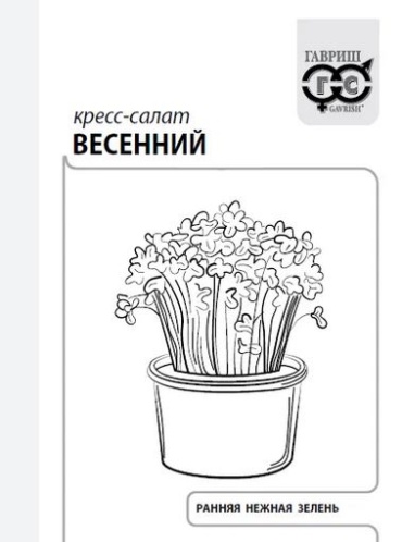 Гавриш салат Весенний