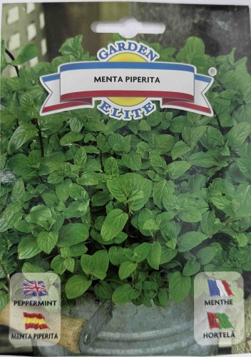 Мята Душистая