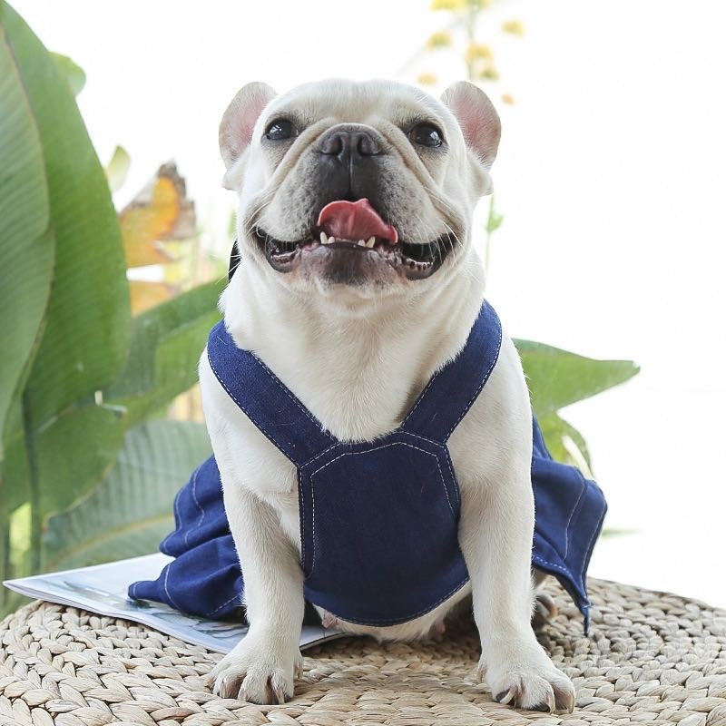Платье Dressdog синий M