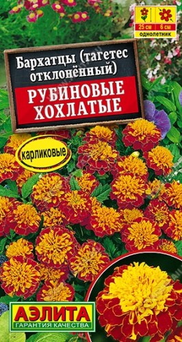 Аэлита бархатцы РУБИНОВЫЕ ХОХЛАТЫЕ