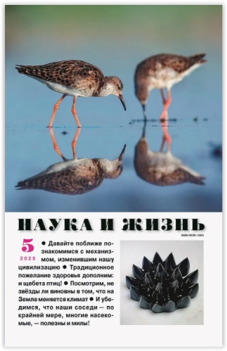 Наука и жизнь №05/2025 Май