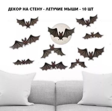 SIGNIQ L1 30x40 см