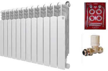 Royal Thermo секционный Revolution Bimetall 500 биметаллический, кол-во секций: 12