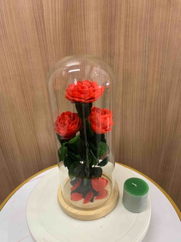 Пион 30 см
