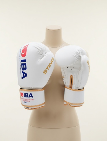 Боксерские перчатки IBA 10 oz белый