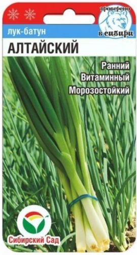 Сибирский сад лук Батун Алтайский