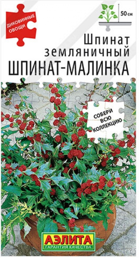 Аэлита шпинат Шпинат-Малинка
