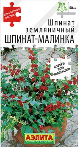 Аэлита шпинат Шпинат-Малинка