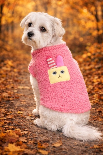 Pet Fashion толстовка Кучерявый зайка розовый M