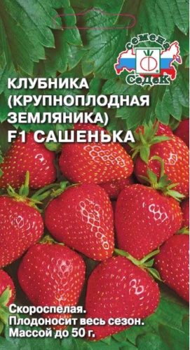 СеДеК клубника Сашенька F1