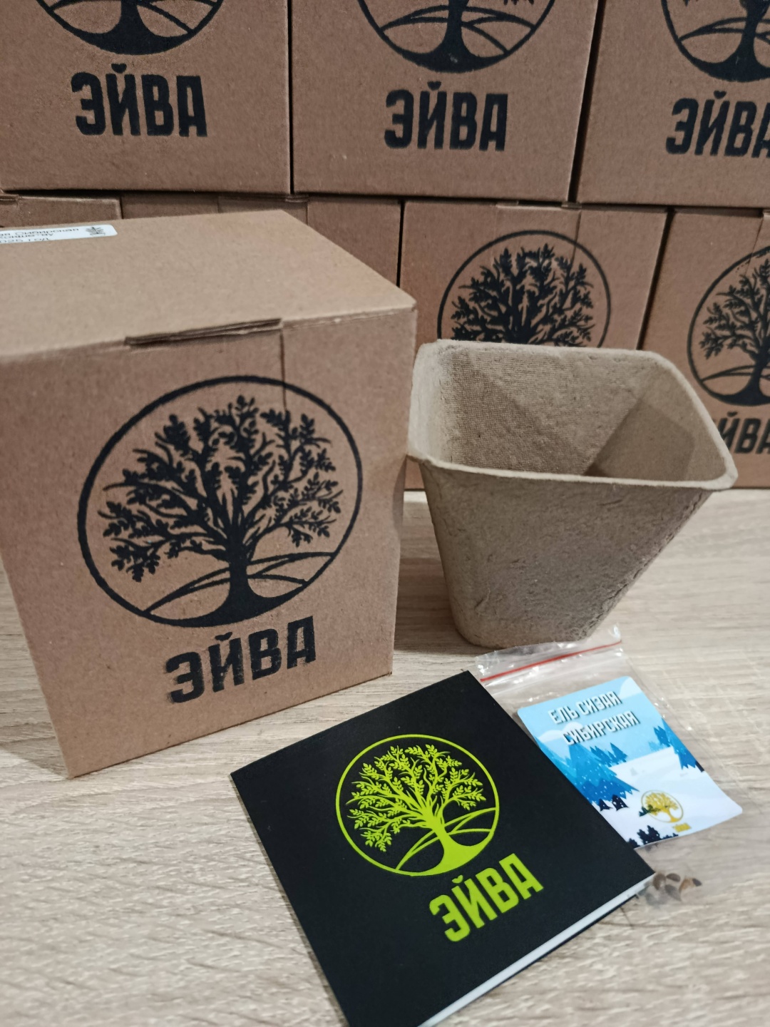 Набор для выращивания Эйва 491611399