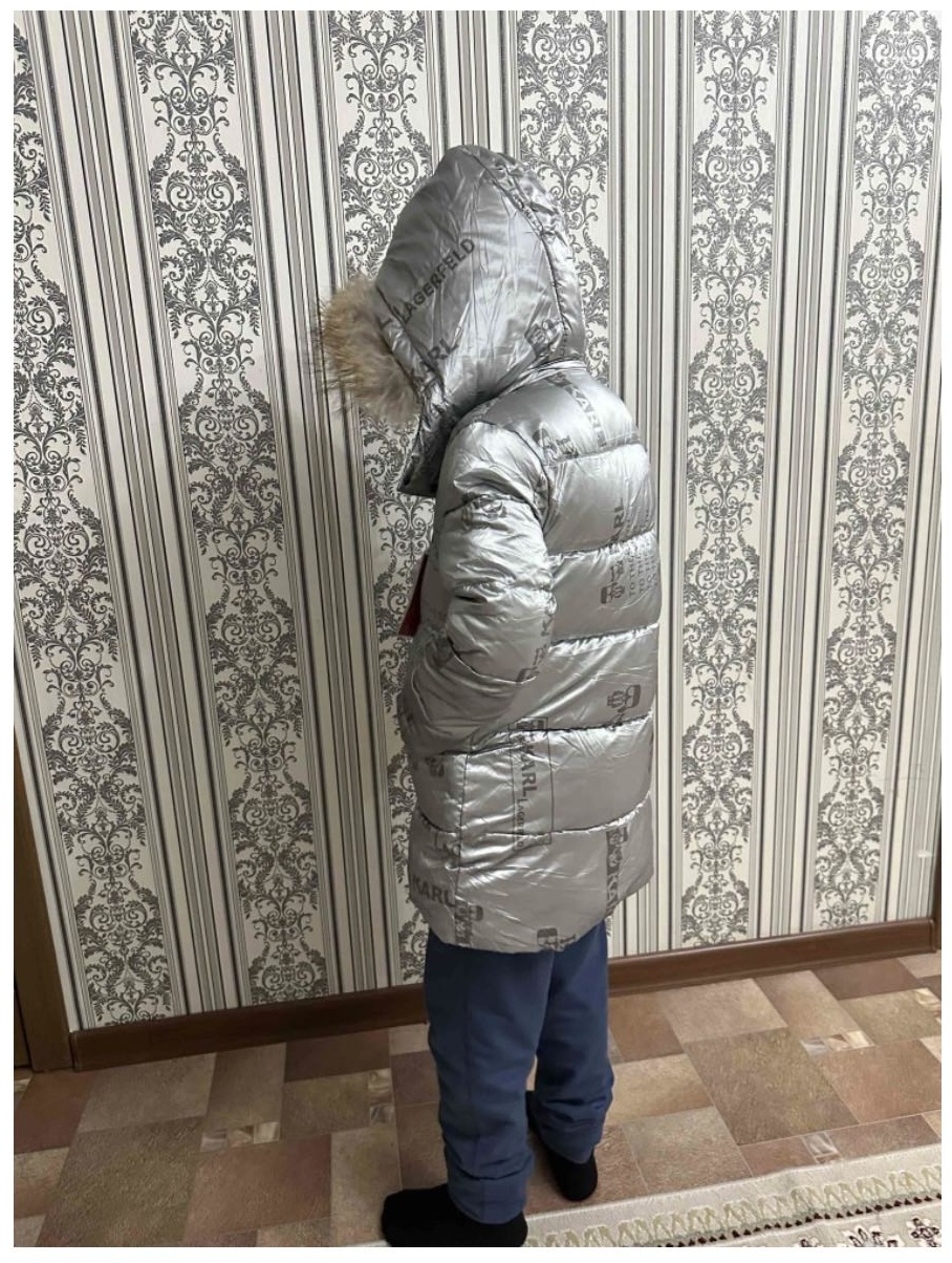 Пуховик серебристый