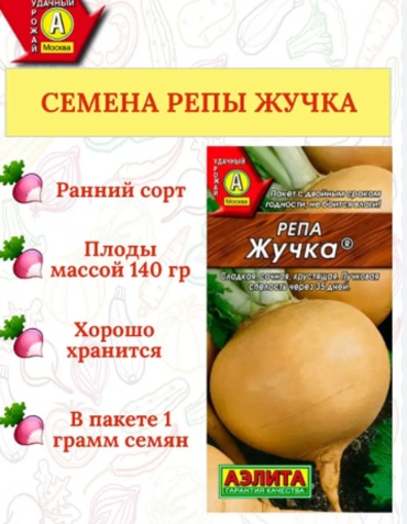 Аэлита репа ЖУЧКА