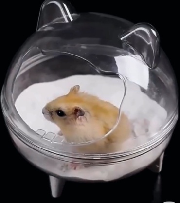 Купалка 060859533 прозрачный