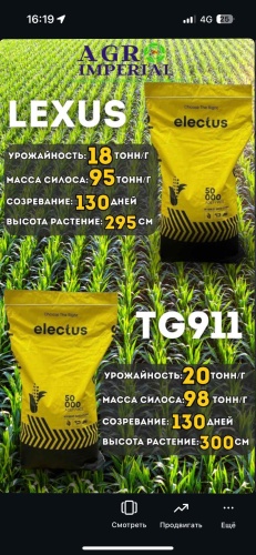Кукуруза 17500 г