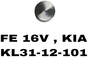 RTL-DSN гидрокомпенсатор KL31-12-101