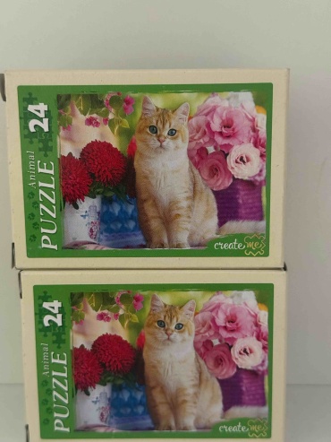 Рыжий кот пазлы