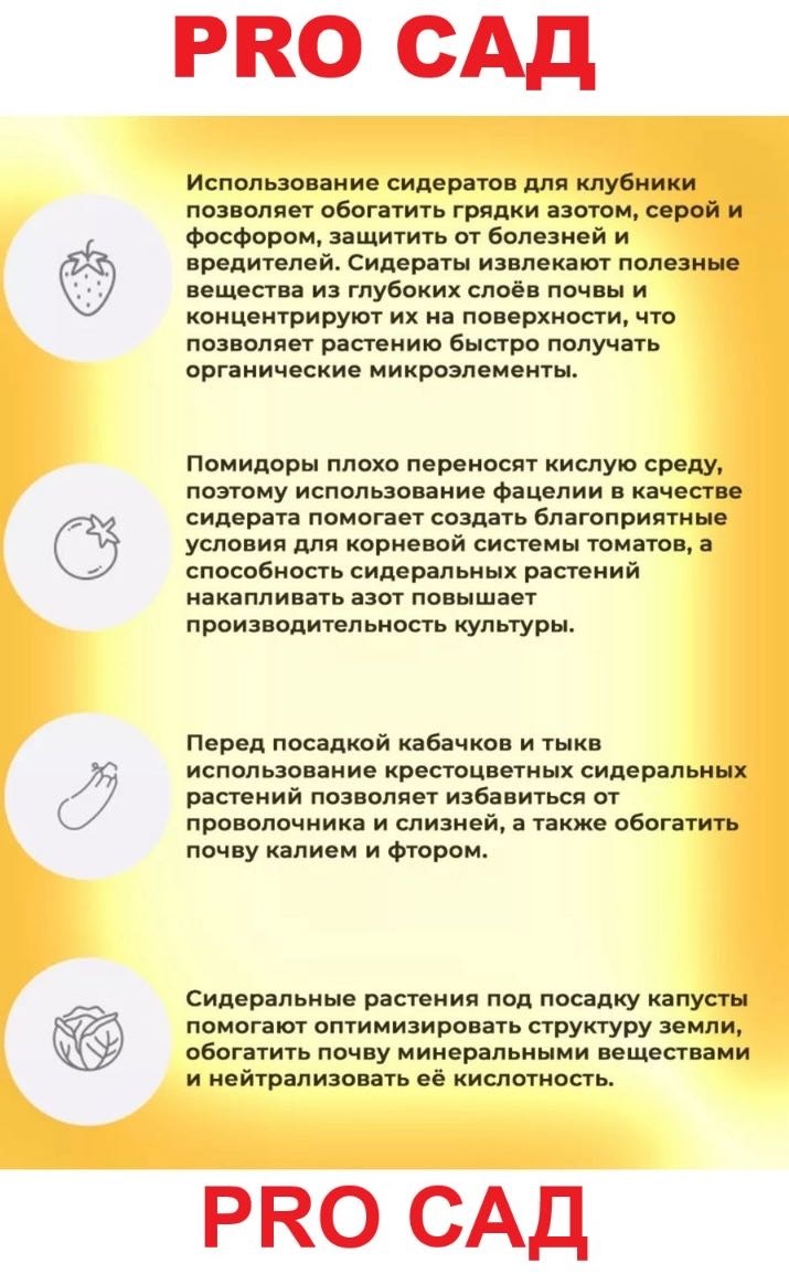 Горчица 5000 г