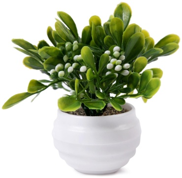Цветок Blumentag петуния 12.5 см, ATF-01