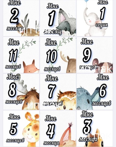 Карточки по месяцам животные карточка 12 шт