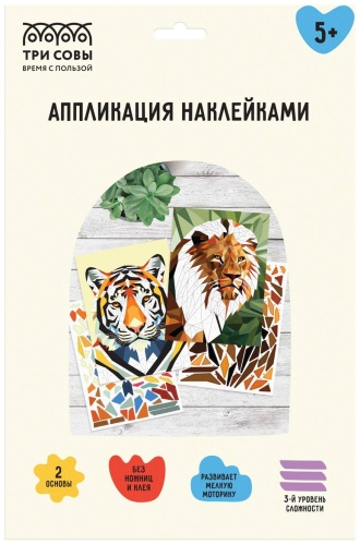ТРИ СОВЫ АПн_64298
