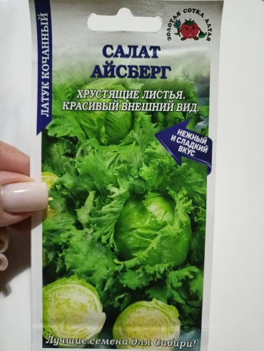Золотая сотка Алтая салат Айсберг