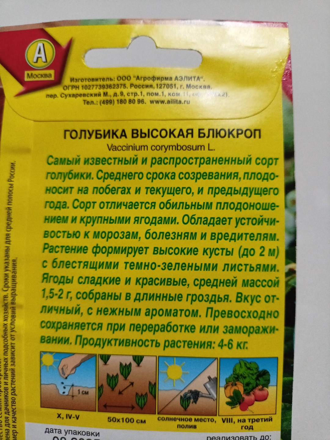 Аэлита голубика Блюкроп