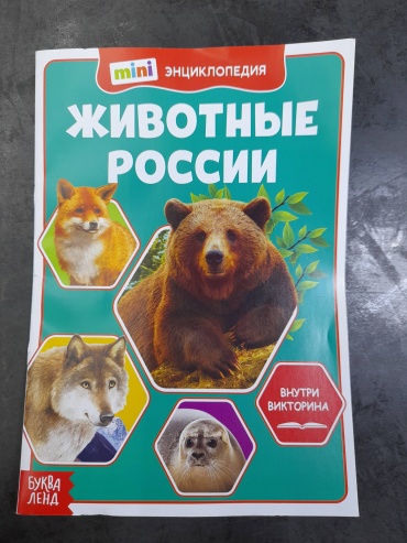 Энциклопедия