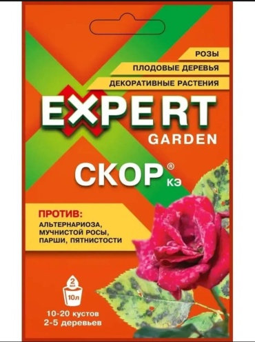 Expert фунгицид СКОР 2