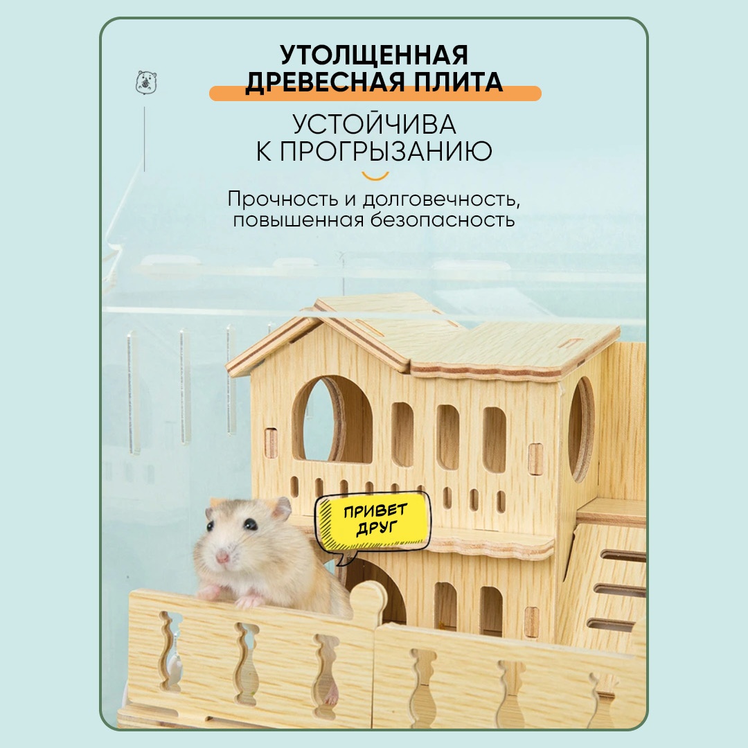 Клетка
