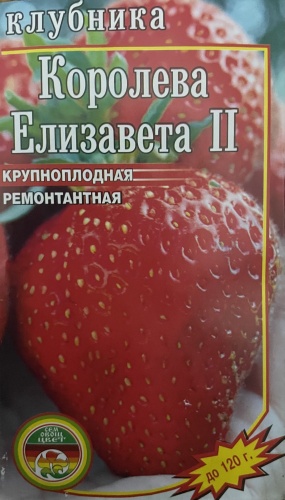 Мир семян клубника Королева Елизавета 2