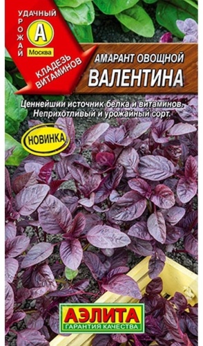 Аэлита амарант Овощной Валентина