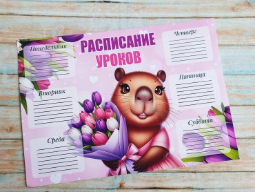 Плакат Расписание уроков. Капибара, A4, бумага