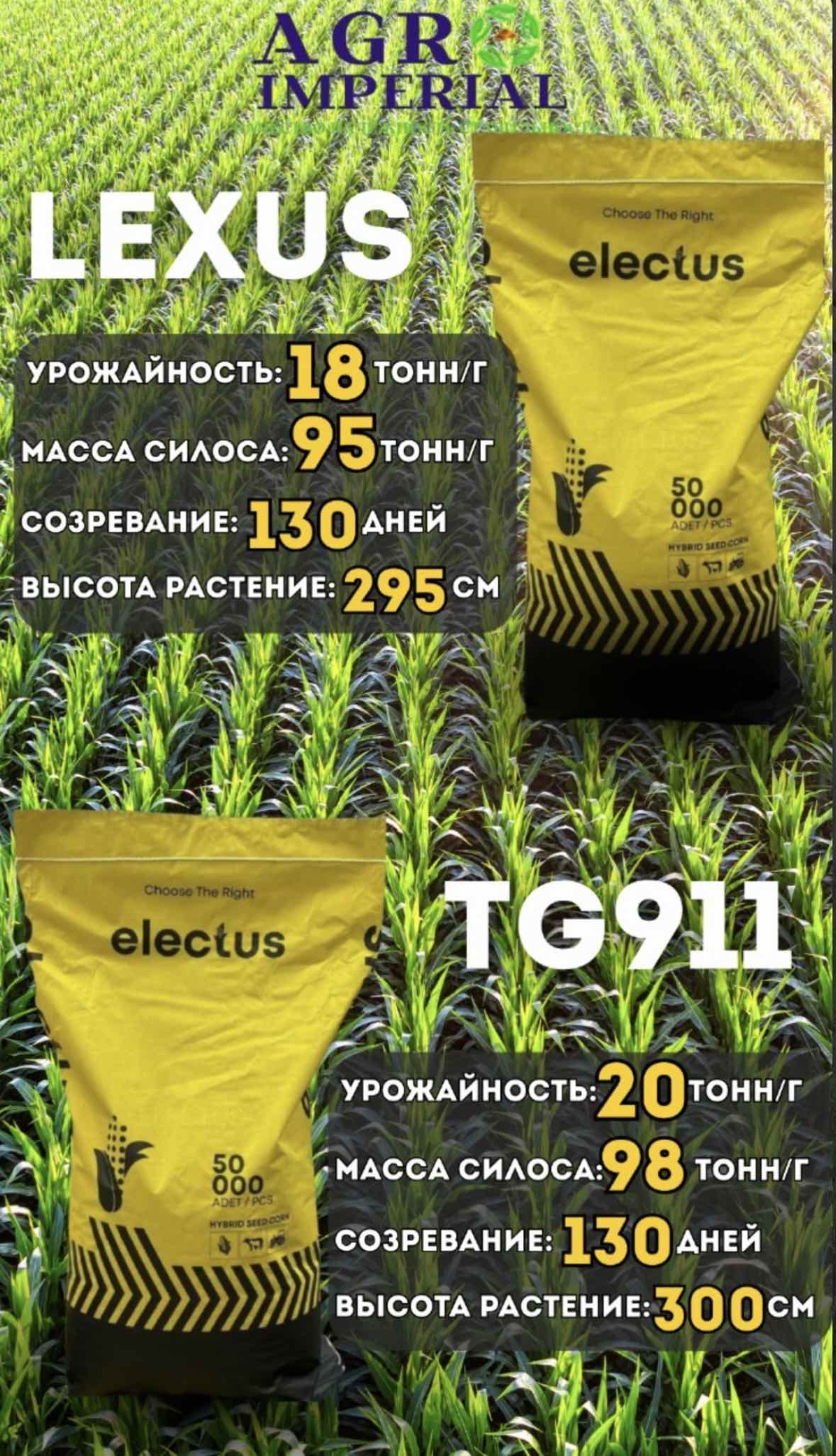 Кукуруза 17500 г