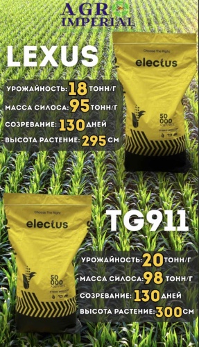 Кукуруза 17500 г