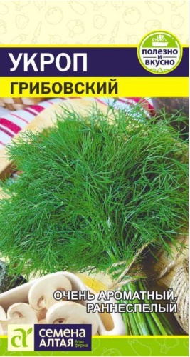 Укроп Грибовский