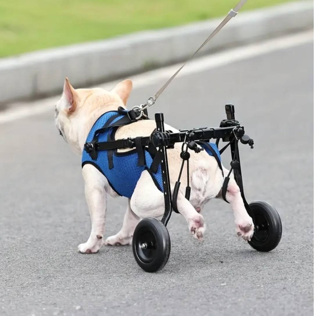 DOG-PET коляска синий