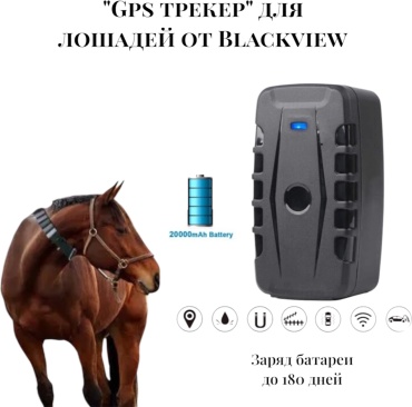Blackview GPS-трекер, вид животного: для всех видов животных