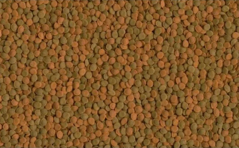 Корм Tetra Wafer Mix таблетки для донных рыб и ракообразных 480 г 1000 мл