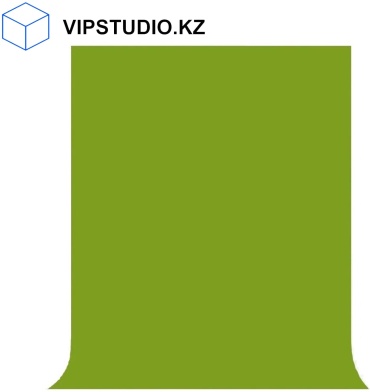 VIPSTUDIO.KZ TF5X2.3FIS зеленый