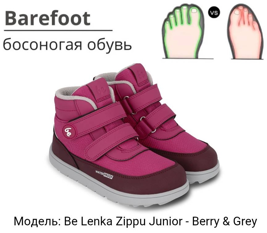 серый, фиолетовый