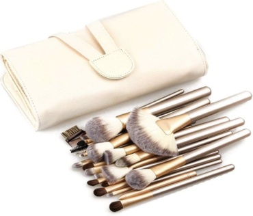 Brush set 24