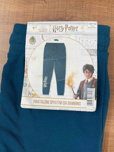 Повседневные брюки Harry Potter бирюзовый