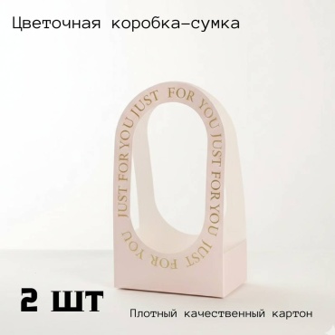 Коробка S-ta 2 шт, 21.5х11.5х38 см