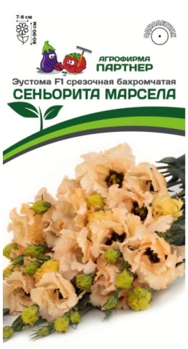 Партнер эустома БАХРОМЧАТАЯ СЕНЬОРИТА МАРСЕЛА